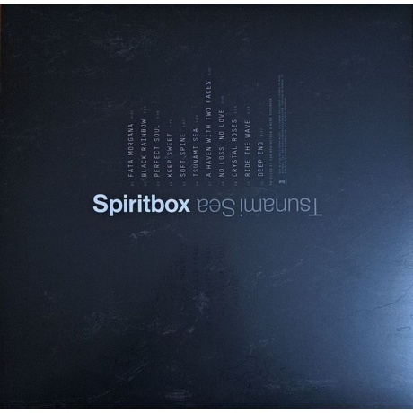 Spiritbox - Tsunami Sea (Black / Grey / White) (4099964124682) виниловая пластинка - фото 2