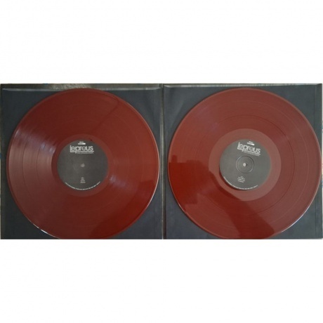 Leprous - Congregation (10th Anniversary) (0198029112115) виниловая пластинка - фото 4