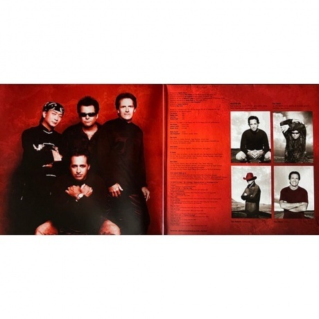 Beard Spocks - Octane (0198028894517) виниловая пластинка - фото 4