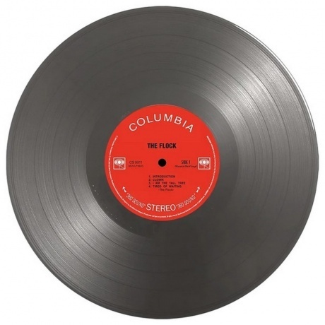 Flock - Flock (Silver) (8719262032989) виниловая пластинка - фото 2