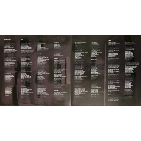 Trevor Rabin - Rio (0196588094910) виниловая пластинка - фото 9