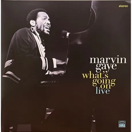 Gaye Marvin - Whats Going On (0602577612008) виниловая пластинка