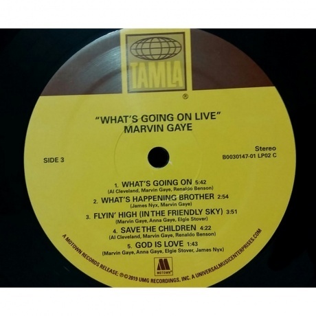 Gaye Marvin - Whats Going On (0602577612008) виниловая пластинка - фото 8