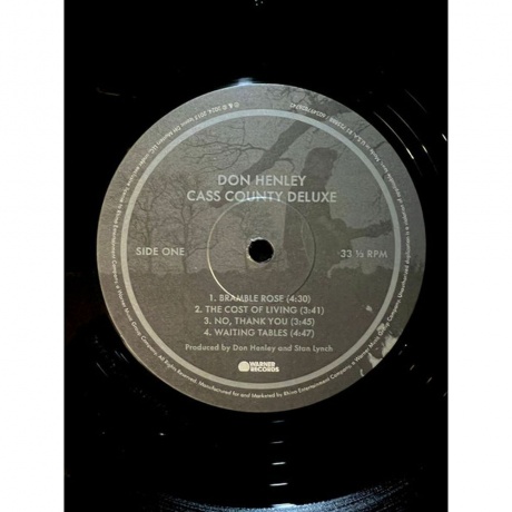 Don Henley - Cass County (Deluxe) (0603497826742) виниловая пластинка - фото 2