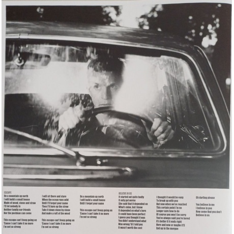 Jay-Jay Johanson - Poison (coloured) (8719262033979) виниловая пластинка - фото 8