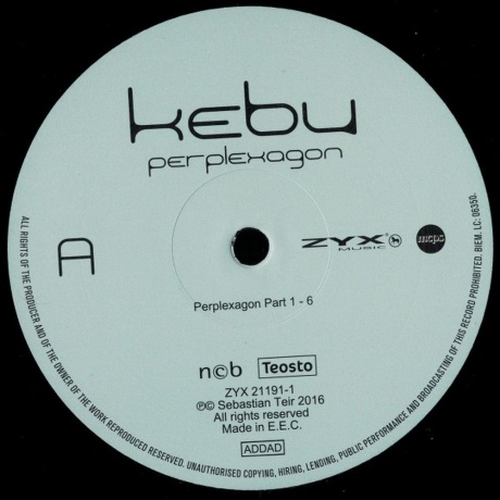Kebu - Perplexagon (0194111002449) виниловая пластинка - фото 5