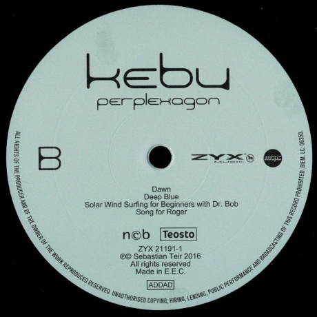 Kebu - Perplexagon (0194111002449) виниловая пластинка - фото 6