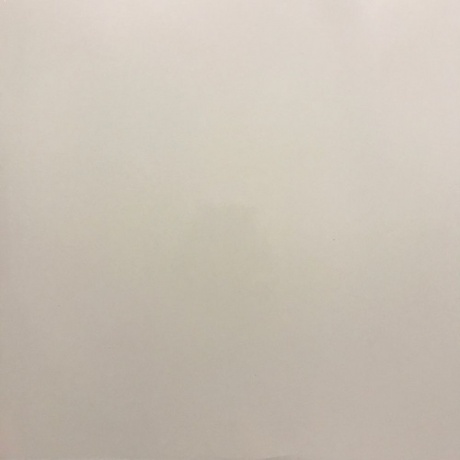 Jamie XX - In Colour (0889030022936) виниловая пластинка - фото 5