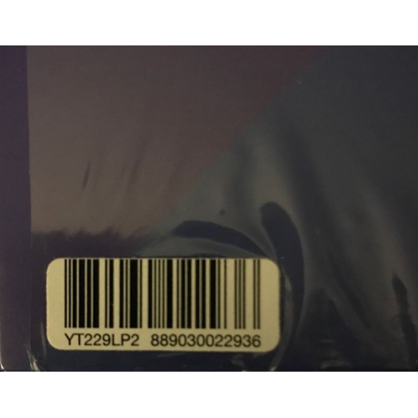 Jamie XX - In Colour (0889030022936) виниловая пластинка - фото 8