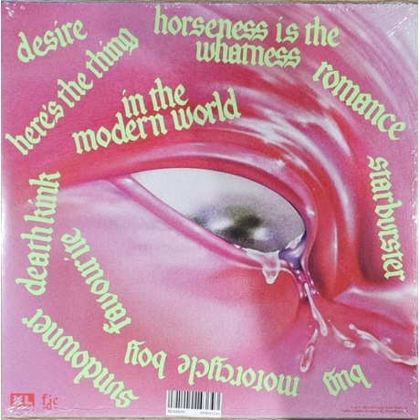 Fontaines D.C. - Romance (0191404143612) виниловая пластинка - фото 2