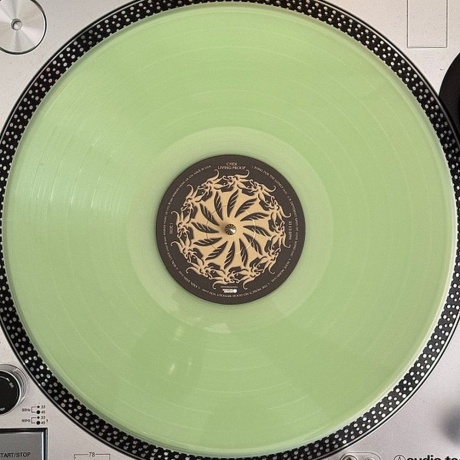 Cher - Living Proof (coloured) (5054197984648) виниловая пластинка - фото 7