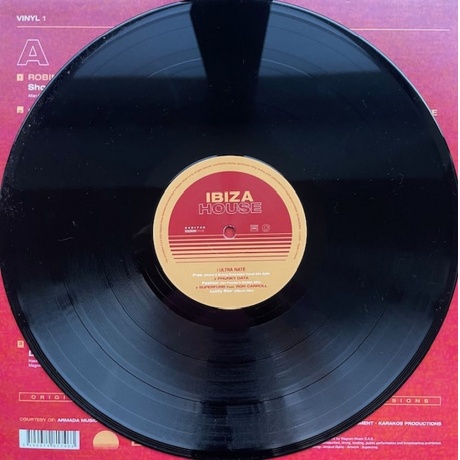 Various Artists - Ibiza House (3596974817463) виниловая пластинка - фото 5