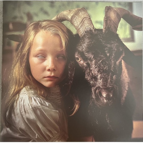 Volbeat - God Of Angels Trust (coloured) (0602475792352) виниловая пластинка - фото 4