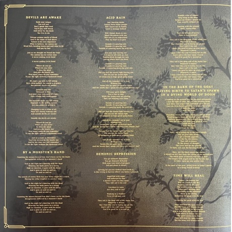 Volbeat - God Of Angels Trust (coloured) (0602475792352) виниловая пластинка - фото 5