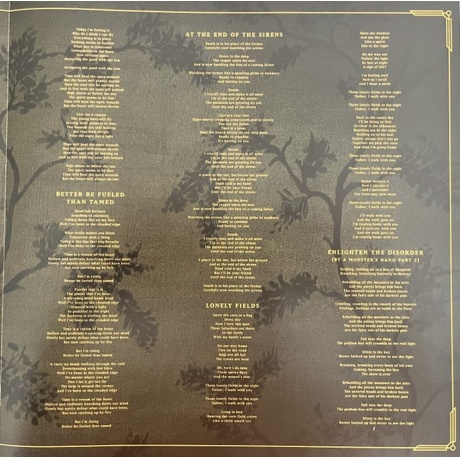 Volbeat - God Of Angels Trust (coloured) (0602475792352) виниловая пластинка - фото 6