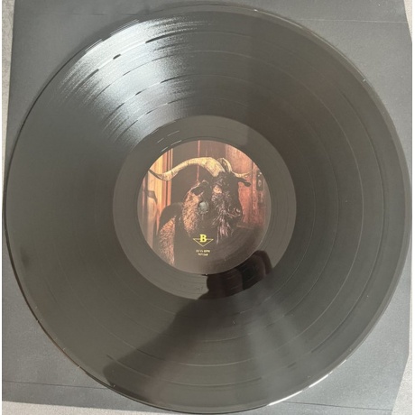 Volbeat - God Of Angels Trust (0602475772682) виниловая пластинка - фото 12