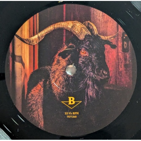 Volbeat - God Of Angels Trust (0602475772682) виниловая пластинка - фото 5