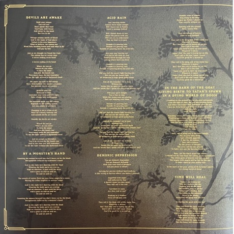 Volbeat - God Of Angels Trust (0602475772682) виниловая пластинка - фото 7