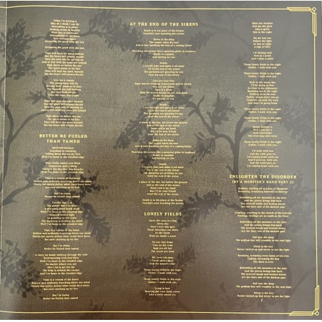 Volbeat - God Of Angels Trust (0602475772682) виниловая пластинка - фото 8