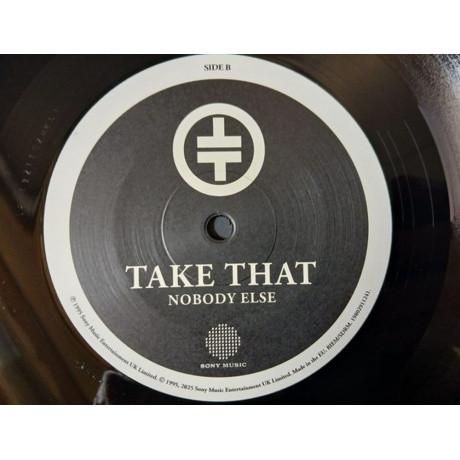 Take That - Nobody Else (0198029112412) виниловая пластинка - фото 4