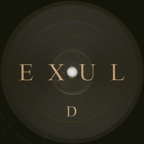 Ne Obliviscaris - Exul (0822603157314) виниловая пластинка - фото 12