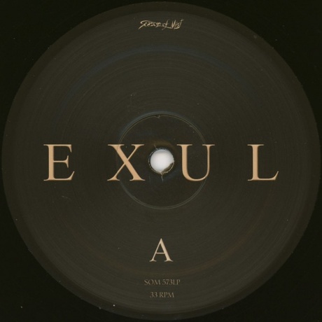 Ne Obliviscaris - Exul (0822603157314) виниловая пластинка - фото 9