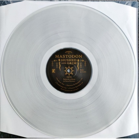 Mastodon - Hushed And Grim (coloured) (0093624879756) виниловая пластинка - фото 13