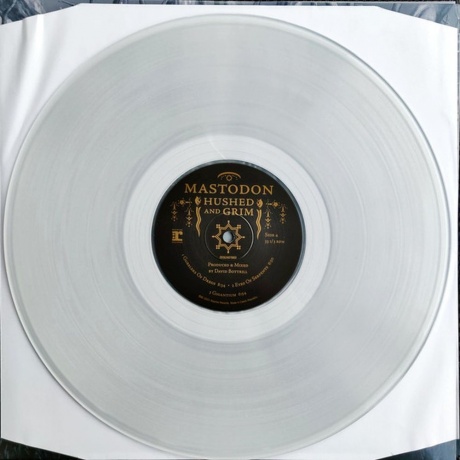 Mastodon - Hushed And Grim (coloured) (0093624879756) виниловая пластинка - фото 14