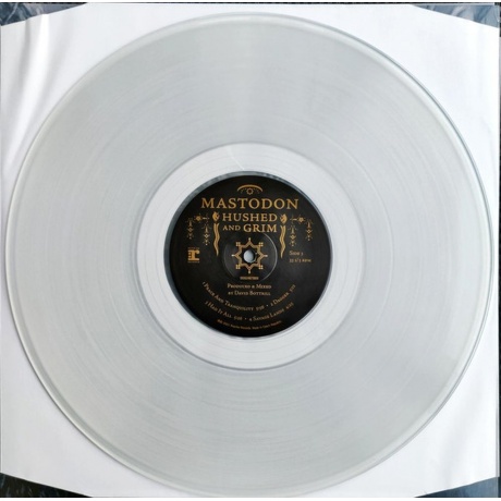Mastodon - Hushed And Grim (coloured) (0093624879756) виниловая пластинка - фото 15