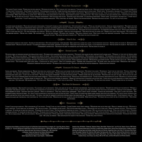 Mastodon - Hushed And Grim (coloured) (0093624879756) виниловая пластинка - фото 10