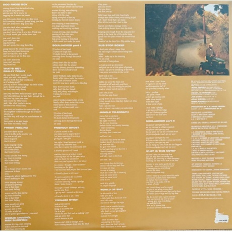 Eels - Souljacker (coloured) (5400863173296) виниловая пластинка - фото 6