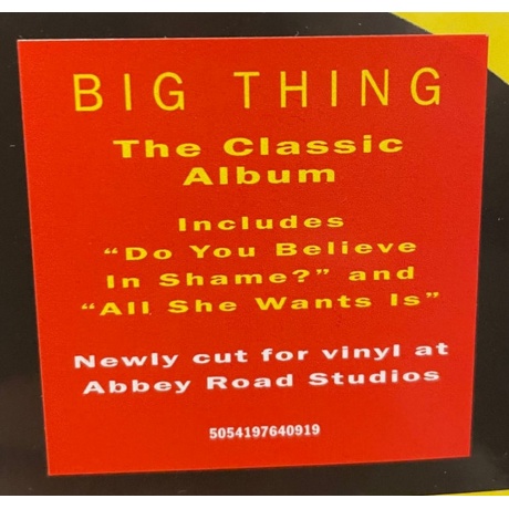 Duran Duran - Big Thing (5054197640919) виниловая пластинка - фото 2