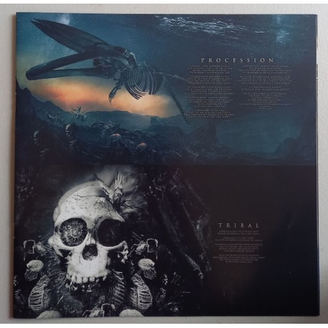 Nightwish - Human.:II:Nature. (0727361520410) виниловая пластинка - фото 13