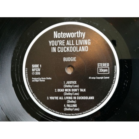 Budgie - You'Re All Living In Cookooland (5015330307960) виниловая пластинка - фото 3