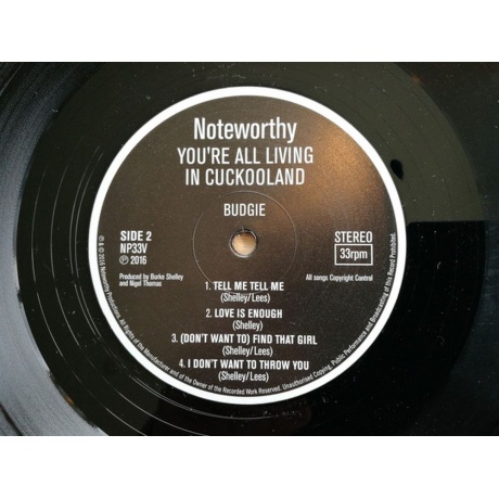 Budgie - You'Re All Living In Cookooland (5015330307960) виниловая пластинка - фото 4