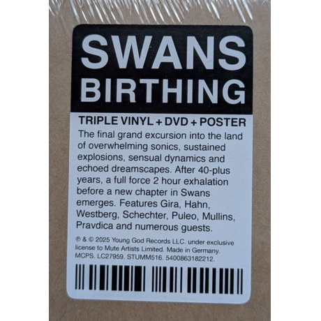 Swans - Birthing (5400863182212) виниловая пластинка - фото 15