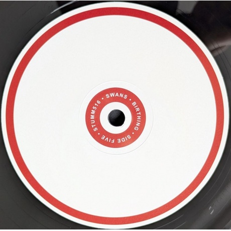 Swans - Birthing (5400863182212) виниловая пластинка - фото 7