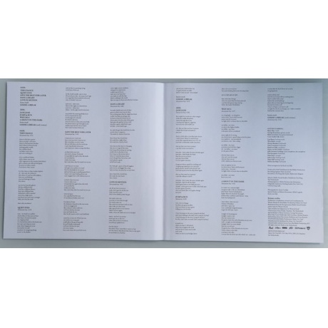 Golden Earring - Hole (coloured) (8719262031579) виниловая пластинка - фото 4