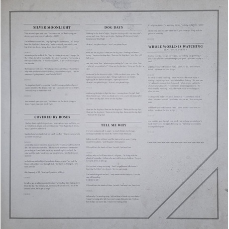 Within Temptation - Hydra (coloured) (8719262035003) виниловая пластинка - фото 12