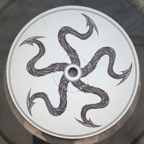 Within Temptation - Hydra (coloured) (8719262035003) виниловая пластинка - фото 5