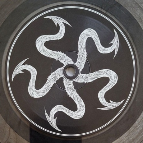 Within Temptation - Hydra (coloured) (8719262035003) виниловая пластинка - фото 7