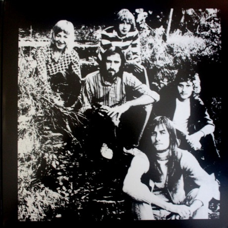 Fleetwood Mac - Greatest Hits (0886977232114) виниловая пластинка - фото 3