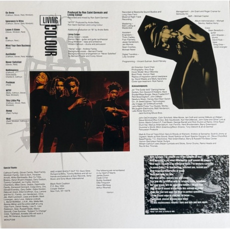 Living Colour - Stain (8719262036048) виниловая пластинка - фото 4