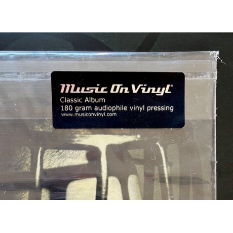 Living Colour - Stain (8719262036048) виниловая пластинка - фото 5