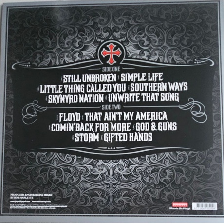 Lynyrd Skynyrd - God &amp; Guns (8719262032026) виниловая пластинка - фото 2
