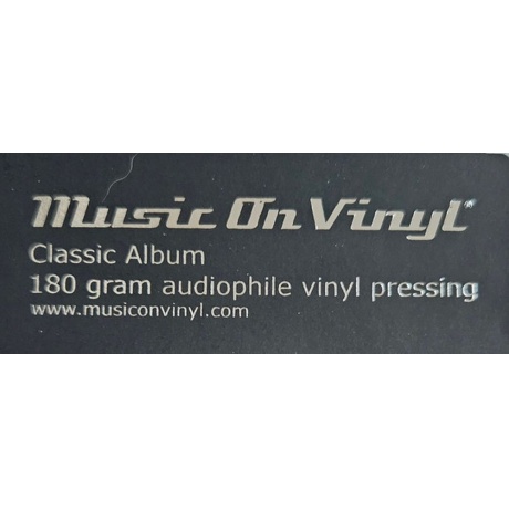 Lynyrd Skynyrd - God &amp; Guns (8719262032026) виниловая пластинка - фото 3