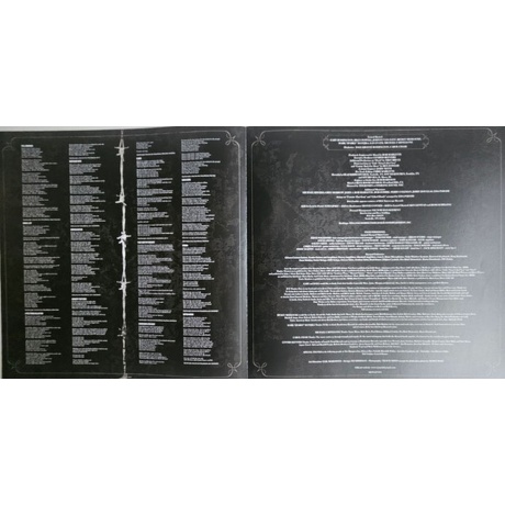 Lynyrd Skynyrd - God &amp; Guns (8719262032026) виниловая пластинка - фото 5