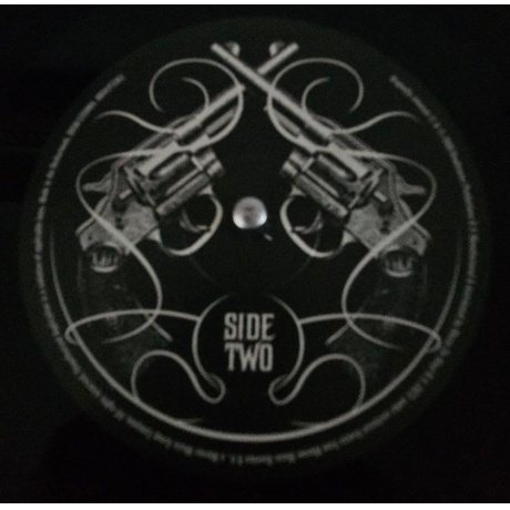 Lynyrd Skynyrd - God &amp; Guns (8719262032026) виниловая пластинка - фото 9