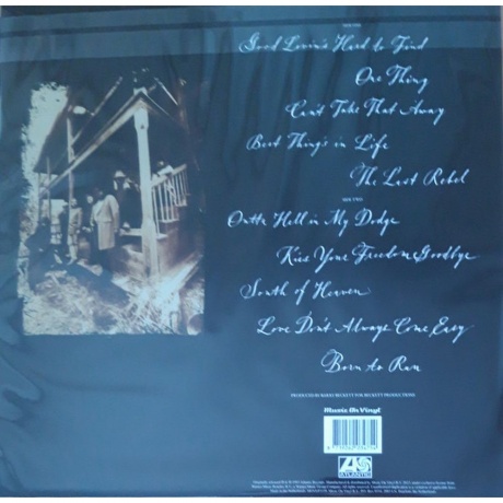 Lynyrd Skynyrd - Last Rebel (8719262034754) виниловая пластинка - фото 2