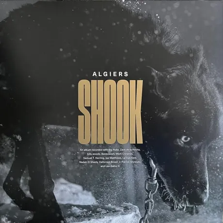 Algiers - Shook (coloured) (0191401178402) виниловая пластинка